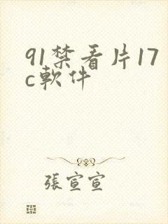 91禁看片17c软件