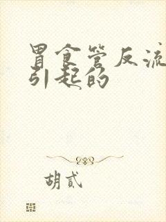 胃食管反流什么引起的