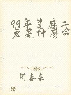 99年农历二月兔是什么命