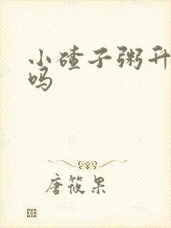 小碴子粥升血糖吗