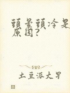 头晕头冷是什么原因?封面