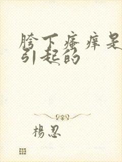 胯下瘙痒是什么引起的