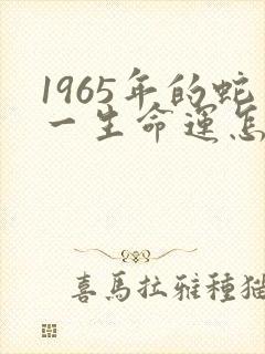 1965年的蛇一生命运怎样封面