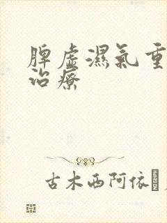 脾虚湿气重如何治疗