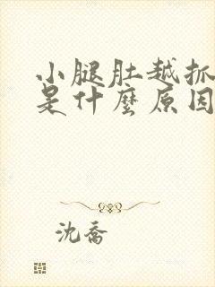 小腿肚越抓越痒是什么原因封面