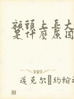 额头上长大痘痘是什么原因是什么