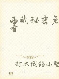 西藏秘密免费观看