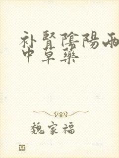 补肾阴阳两虚的中草药