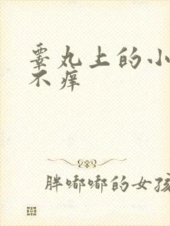 睾丸上的小疙瘩不痒