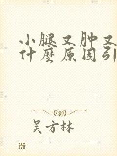 小腿又肿又痒是什么原因引起的封面