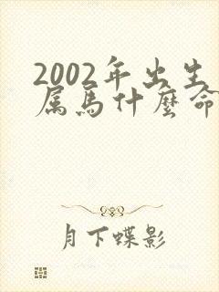 2002年出生属马什么命