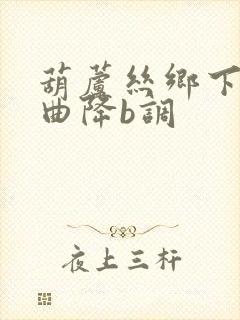 葫芦丝乡下伴奏曲降b调