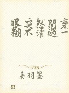 眼突然间变成模糊不清过一会好了