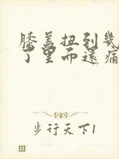 膝盖扭到几个月了里面还痛