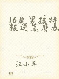 16岁男孩特别叛逆怎么办封面