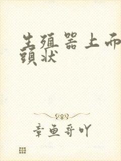 生殖器上面长乳头状