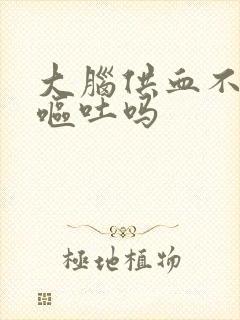 大脑供血不足会呕吐吗封面