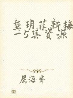 龚玥菲新梅瓶1一5集资源