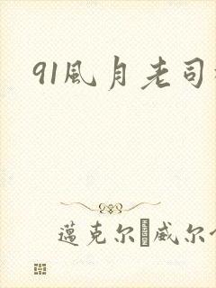 91风月老司机封面