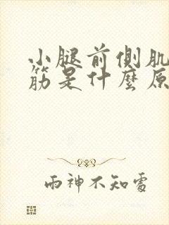 小腿前侧肌肉抽筋是什么原因