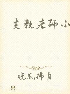 支教老师小说封面