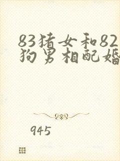 83猪女和82狗男相配婚姻如何封面