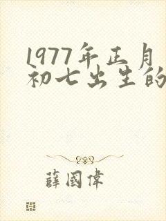 1977年正月初七出生的蛇命运