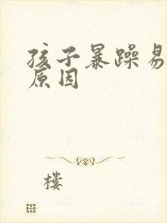 孩子暴躁易怒的原因