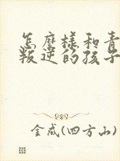 怎么样和青春期叛逆的孩子相处封面