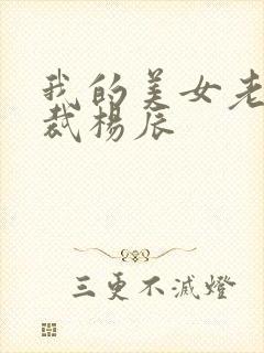 我的美女老婆总裁杨辰