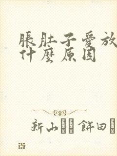 胀肚子爱放屁是什么原因