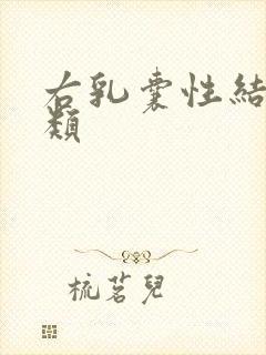 右乳囊性结节2类