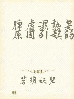 脾虚湿热是什么原因引起的