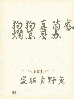 狗狗真菌感染溃烂怎么办封面