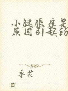 小腿胀痒是什么原因引起的