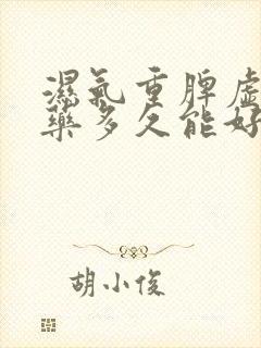 湿气重脾虚吃中药多久能好