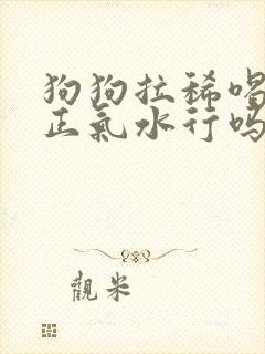狗狗拉稀喝藿香正气水行吗封面
