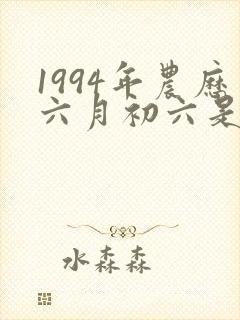 1994年农历六月初六是什么命