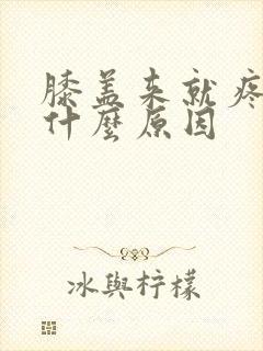 膝盖来就疼痛是什么原因封面