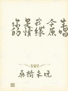 你是我今生难舍的情缘原唱