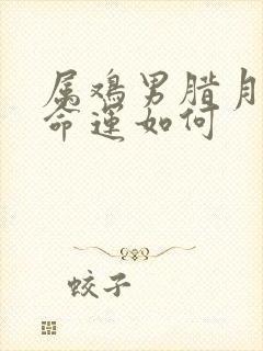 属鸡男腊月出生命运如何