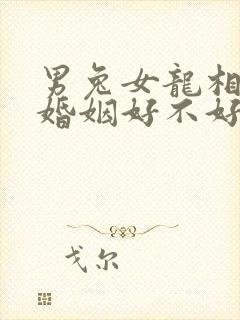 男兔女龙相结合婚姻好不好