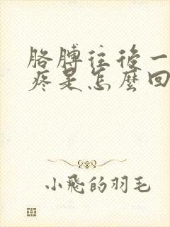 胳膊往后一背就疼是怎么回事封面