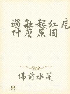 过敏起红疙瘩痒什么原因