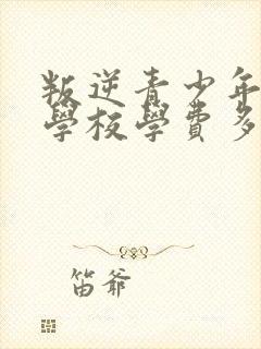 叛逆青少年管教学校学费多少