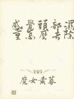 感觉头部湿气太重怎么去除?