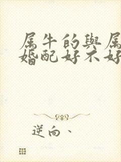 属牛的与属牛的婚配好不好