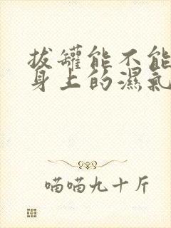 拔罐能不能去除身上的湿气封面