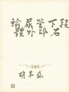 输尿管下段结石 体外碎石封面