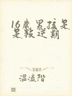 16岁男孩是不是叛逆期封面